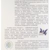 Прем’єра фольк-опери-балету «Русалчині луки»: творча співпраця кафедри хореографії та ансамблю «Калина»